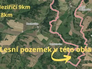 Prodej lesa, Horní Heřmanice, 31116 m2