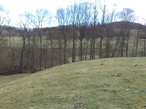 Prodej pozemku, Heřmanov - Fojtovice, 4633 m2