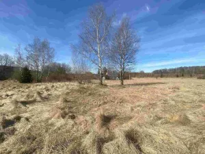 Prodej pozemku, Aš - Nový Žďár, 3300 m2