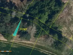 Prodej lesa, Dolní Cerekev, 11509 m2