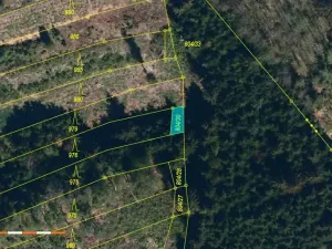 Prodej lesa, Dolní Cerekev, 11509 m2