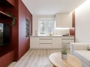 Prodej bytu 2+kk, Ostrava, Čujkovova, 29 m2