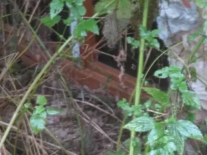 Dražba rodinného domu, Herálec, 163 m2