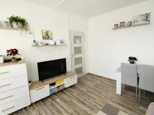 Prodej bytu 2+1, Milovice, Průběžná, 54 m2