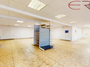 Pronájem skladu, Liberec, U Pramenů, 185 m2