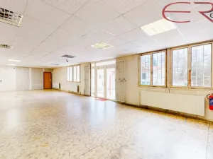 Pronájem skladu, Liberec, U Pramenů, 185 m2