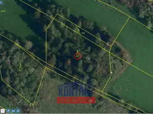 Prodej lesa, Strážek - Jemnice, 2666 m2