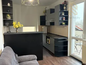 Prodej bytu 3+1, Ústí nad Labem - Ústí nad Labem-centrum, Králova výšina, 105 m2