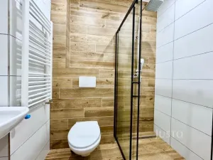 Pronájem bytu 1+1, Velké Březno - Valtířov, 47 m2