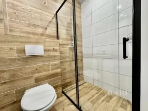 Pronájem bytu 1+1, Velké Březno - Valtířov, 47 m2