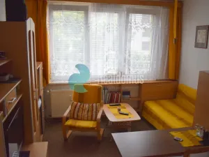 Pronájem bytu 1+kk, České Budějovice, Pekárenská, 22 m2