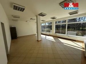 Pronájem kanceláře, Krnov - Pod Bezručovým vrchem, Říční okruh, 85 m2