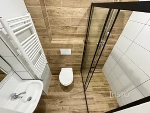 Pronájem bytu 1+1, Velké Březno, 47 m2