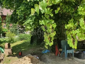 Prodej chalupy, Sluštice, 78 m2