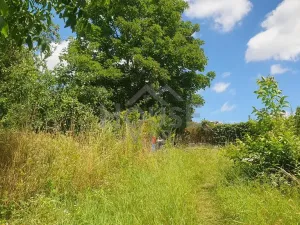 Prodej chalupy, Sluštice, 78 m2