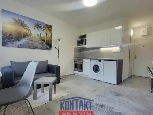 Pronájem bytu 1+kk, České Budějovice, Dobrovodská, 21 m2