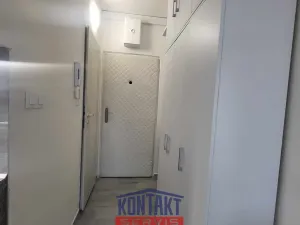 Pronájem bytu 1+kk, České Budějovice, Dobrovodská, 21 m2
