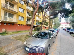 Pronájem bytu 1+kk, České Budějovice, Dobrovodská, 21 m2