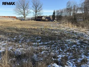 Prodej pozemku pro bydlení, Nová Cerekev, 955 m2