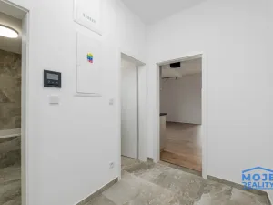 Pronájem bytu 3+kk, Plzeň - Jižní Předměstí, Železná, 59 m2