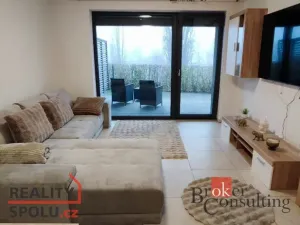 Pronájem bytu 2+kk, Plzeň - Východní Předměstí, Papírnická, 57 m2