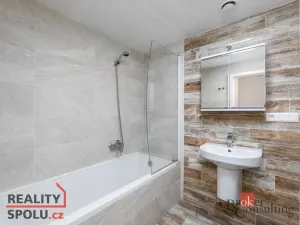 Pronájem bytu 2+kk, Plzeň - Východní Předměstí, Papírnická, 57 m2