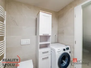 Pronájem bytu 2+kk, Plzeň - Východní Předměstí, Papírnická, 57 m2