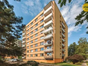 Pronájem bytu 2+1, Chvaletice, U Kulturního domu, 60 m2