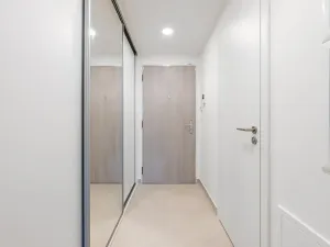 Pronájem bytu 1+kk, Praha - Žižkov, Tetauerova, 33 m2