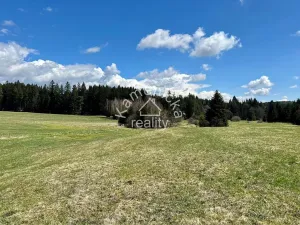 Prodej pozemku pro bydlení, Černá v Pošumaví, 3027 m2