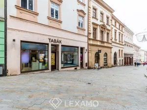 Pronájem obchodního prostoru, Znojmo, Obroková, 60 m2