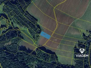 Prodej pole, Zborov, 2144 m2