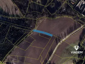 Prodej pole, Nová Olešná, 2410 m2