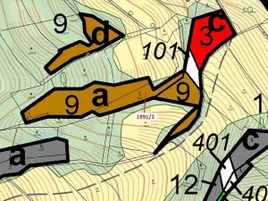 Dražba lesa, Hovězí, 933 m2