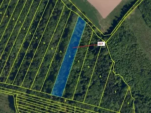 Dražba lesa, Hradčany-Kobeřice, 5963 m2