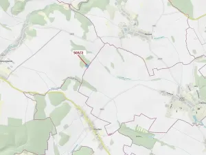 Dražba lesa, Přemyslovice, 6942 m2