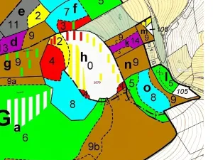 Dražba lesa, Nové Dvory, 32925 m2