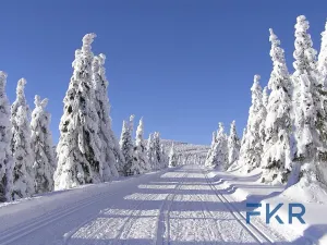 Prodej bytu 3+kk, Vrchlabí, Pražská, 78 m2