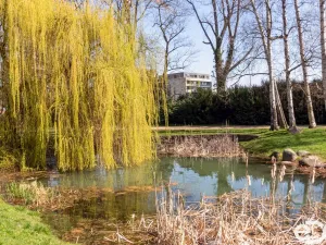 Prodej bytu 2+kk, Chrudim, V Hliníkách, 50 m2