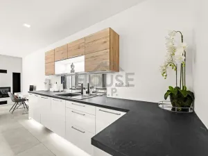 Pronájem rodinného domu, Králův Dvůr - Levín, Na Vyhlídce, 201 m2