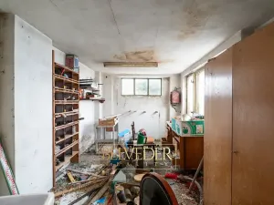 Prodej rodinného domu, Bořislav, 195 m2