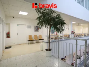 Pronájem ordinace, Brno - Žabovřesky, Makovského náměstí, 37 m2