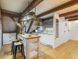 Pronájem bytu 1+kk, Praha - Nové Město, Lodecká, 75 m2