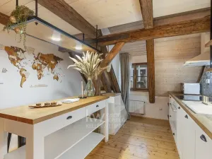 Pronájem bytu 1+kk, Praha - Nové Město, Lodecká, 75 m2