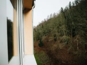 Prodej bytu 3+1, Kraslice, Čs. armády, 67 m2