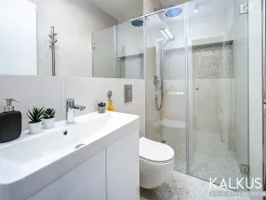 Pronájem bytu 2+kk, Hradec Králové, Eliščino nábřeží, 30 m2