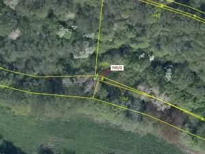 Dražba lesa, Zubrnice, 5 m2