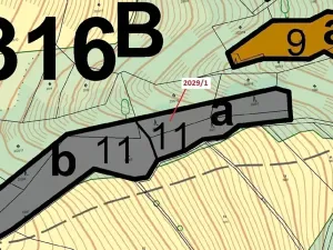 Dražba lesa, Hovězí, 680 m2