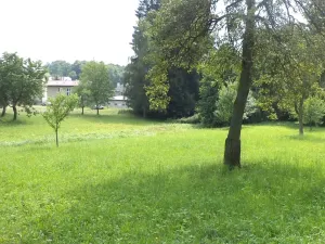 Dražba louky, Pěčín, 5224 m2