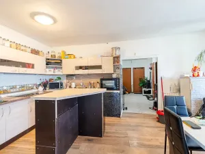 Prodej vícegeneračního domu, Ostopovice, U Kaple, 450 m2